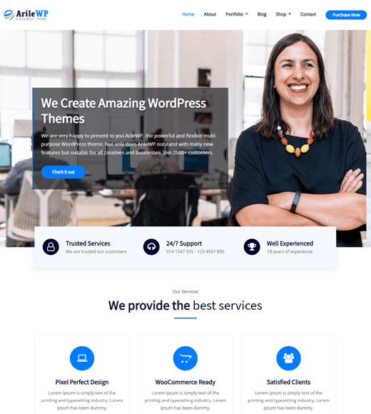 Шаблон интернет-магазина ArileWP WordPress Бесплатно