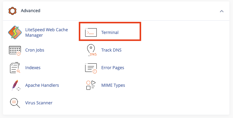 cpanel-terminal-option