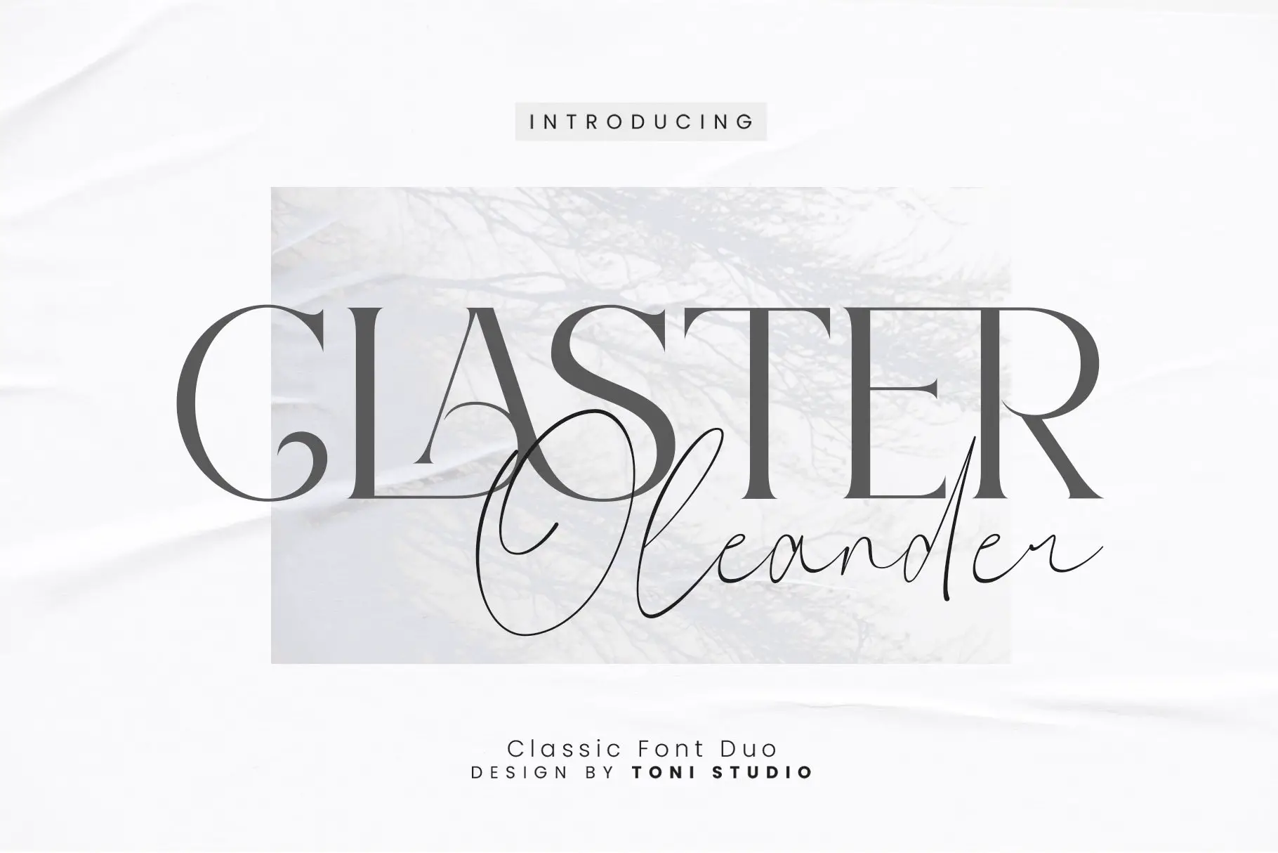 Claster Oleandro -