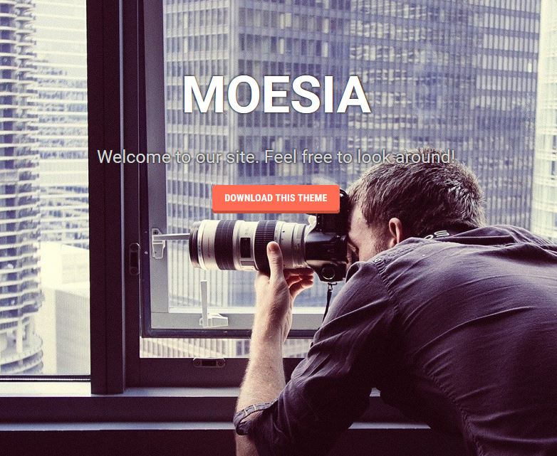 免费响应式 wordpress 主题 moesia