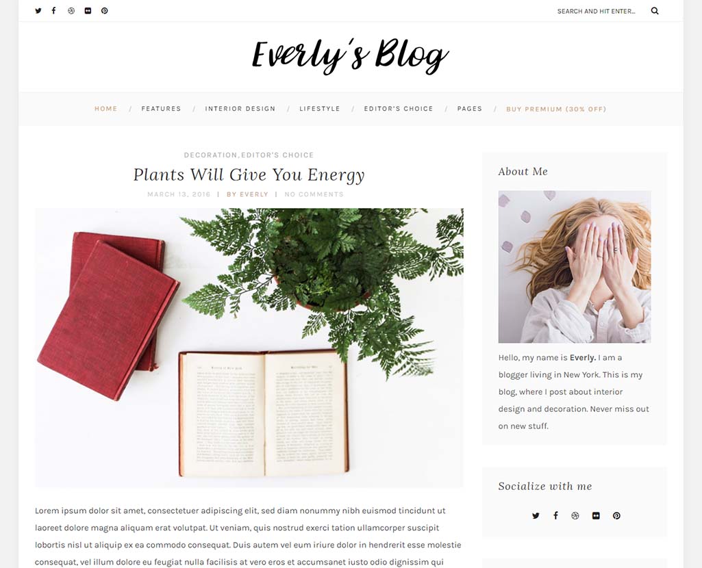 everly-lite-free-wordpress-blogging-theme