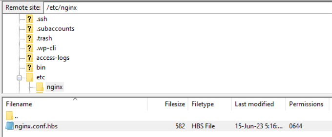 Accesați fișierul Nginx Access Nginx file