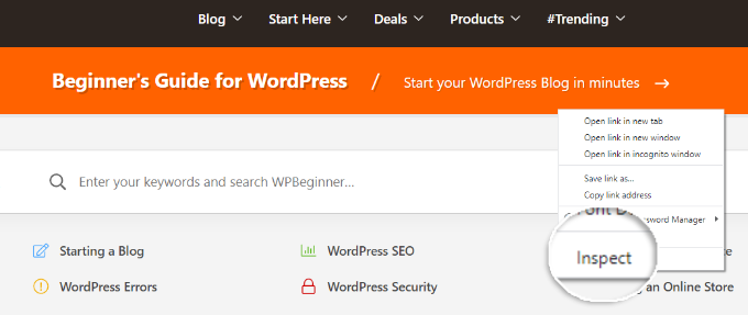 Deschideți elementul de inspectare Open inspect element