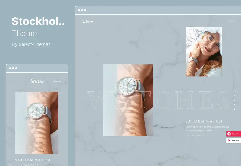 Tema di Stoccolma: un tema WordPress veramente multiconcetto