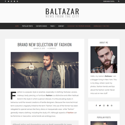 baltazar-lite-wordpress-blog-themes