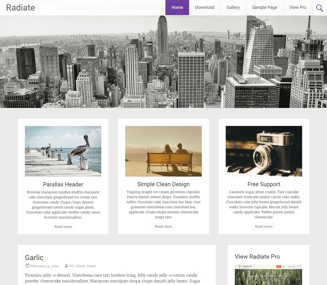 輻射最好的免費wordpress-博客主題