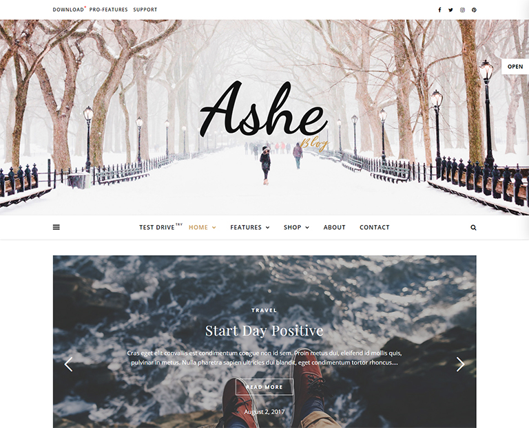 WordPress-Free-WP-BLog-themes-Ashe
