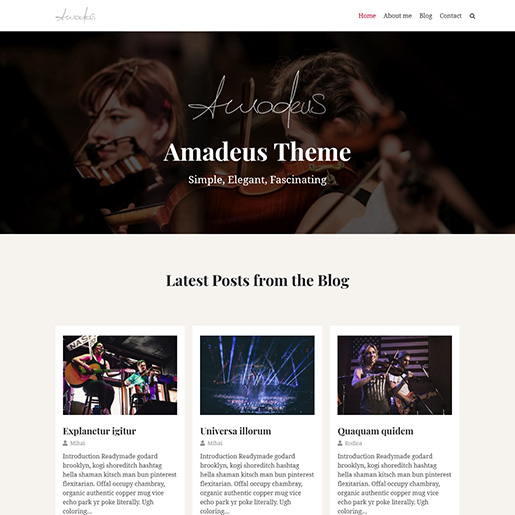 neve 最好的 wordpress 博客