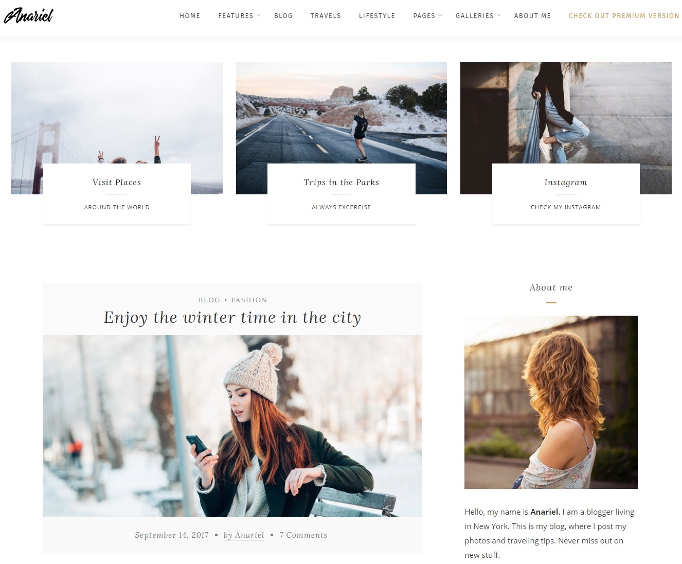 anariel-free-responsive-wordpress-theme