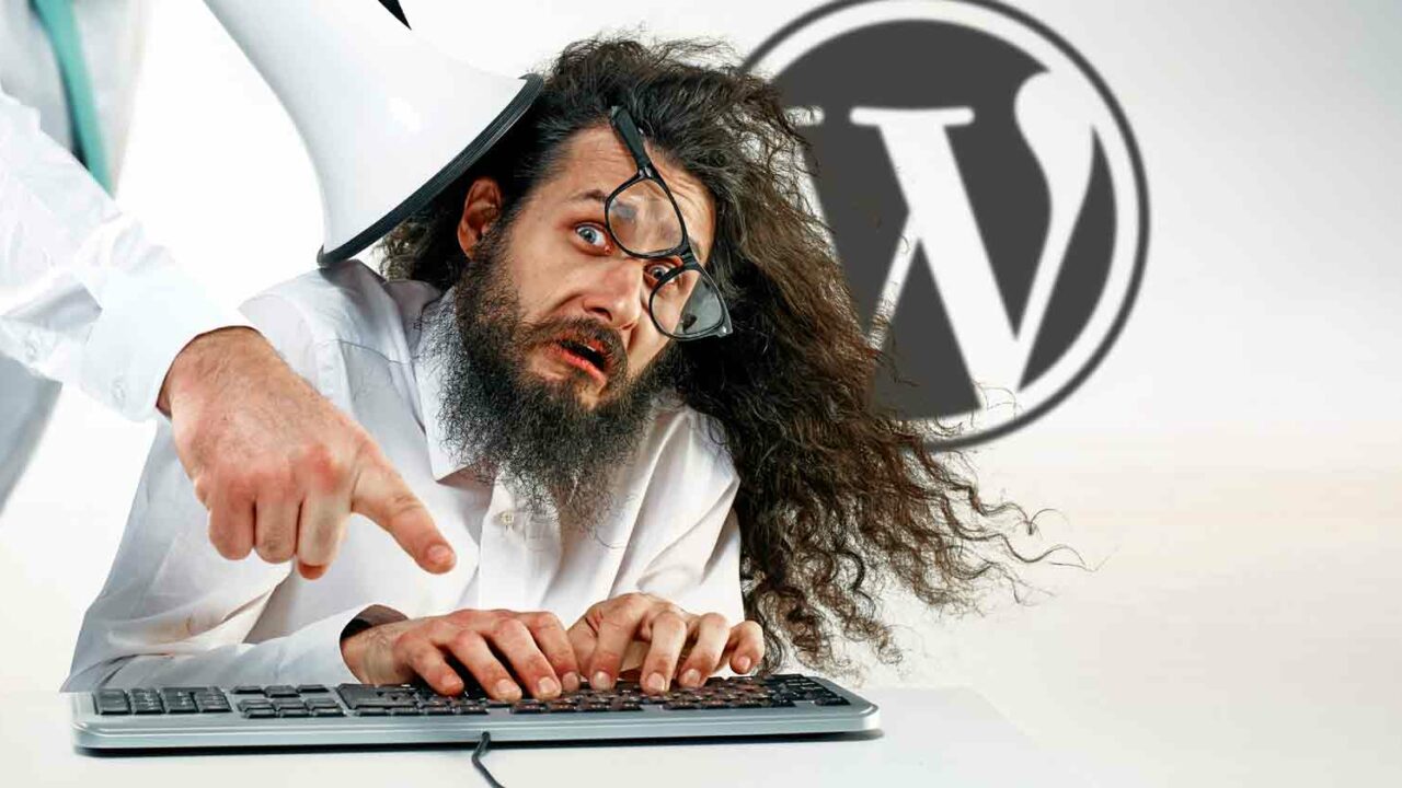 Probleme comune cu WordPress Common WordPress Problems