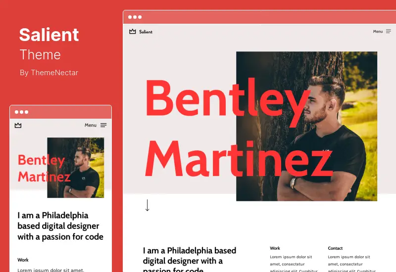 Tema Salient - Temă creativă multifuncțională WordPress și WooCommerce