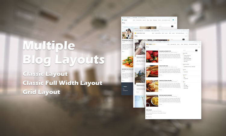 multi-blog-styles-flash-themes