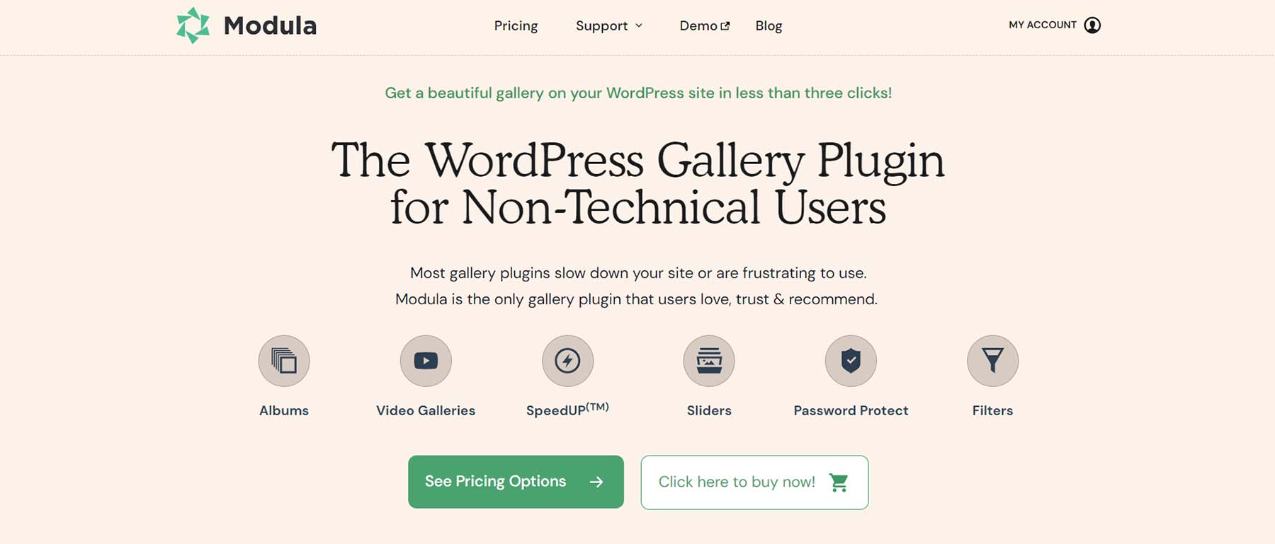 Plugin da Galeria Modula