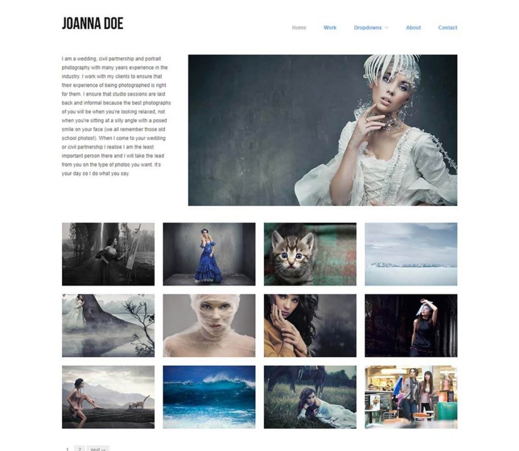 Fotoğrafçı portföyü için tarama gerektirmeyen wordpress teması