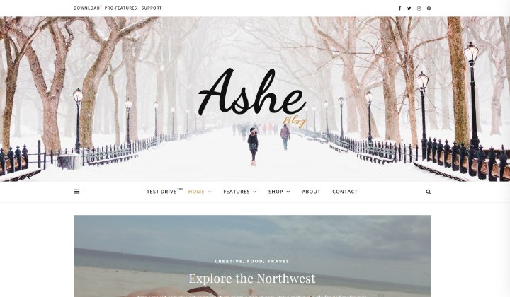 16 cele mai bune teme și șabloane WordPress pentru bloggeri și influenți culinare 2023 14 Ashe Blog