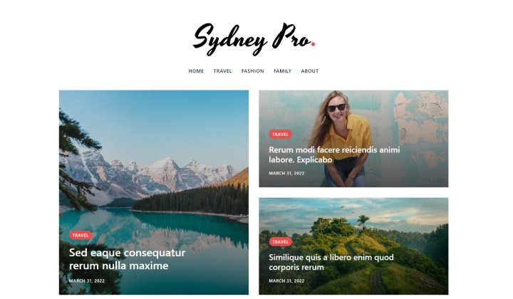 16 cele mai bune teme și șabloane WordPress pentru bloggeri și influenți culinare 2023 6 Sydney Blogging