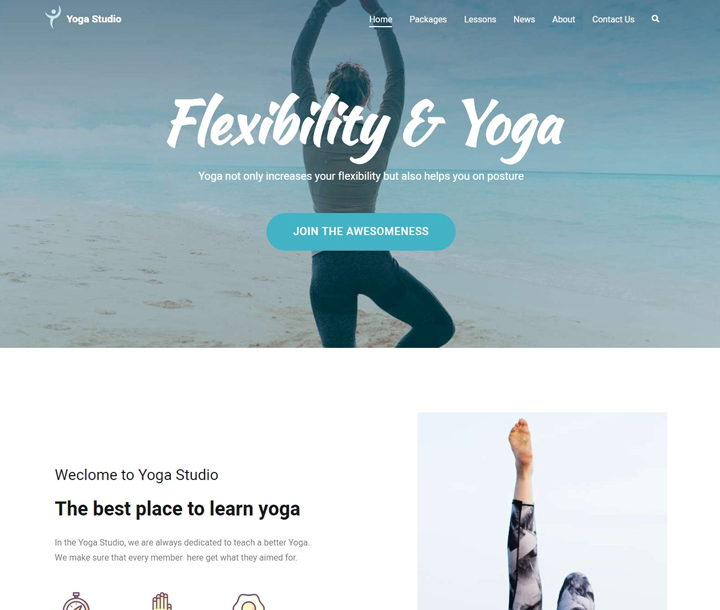 zakra-free-fitness-wordpress-temaları