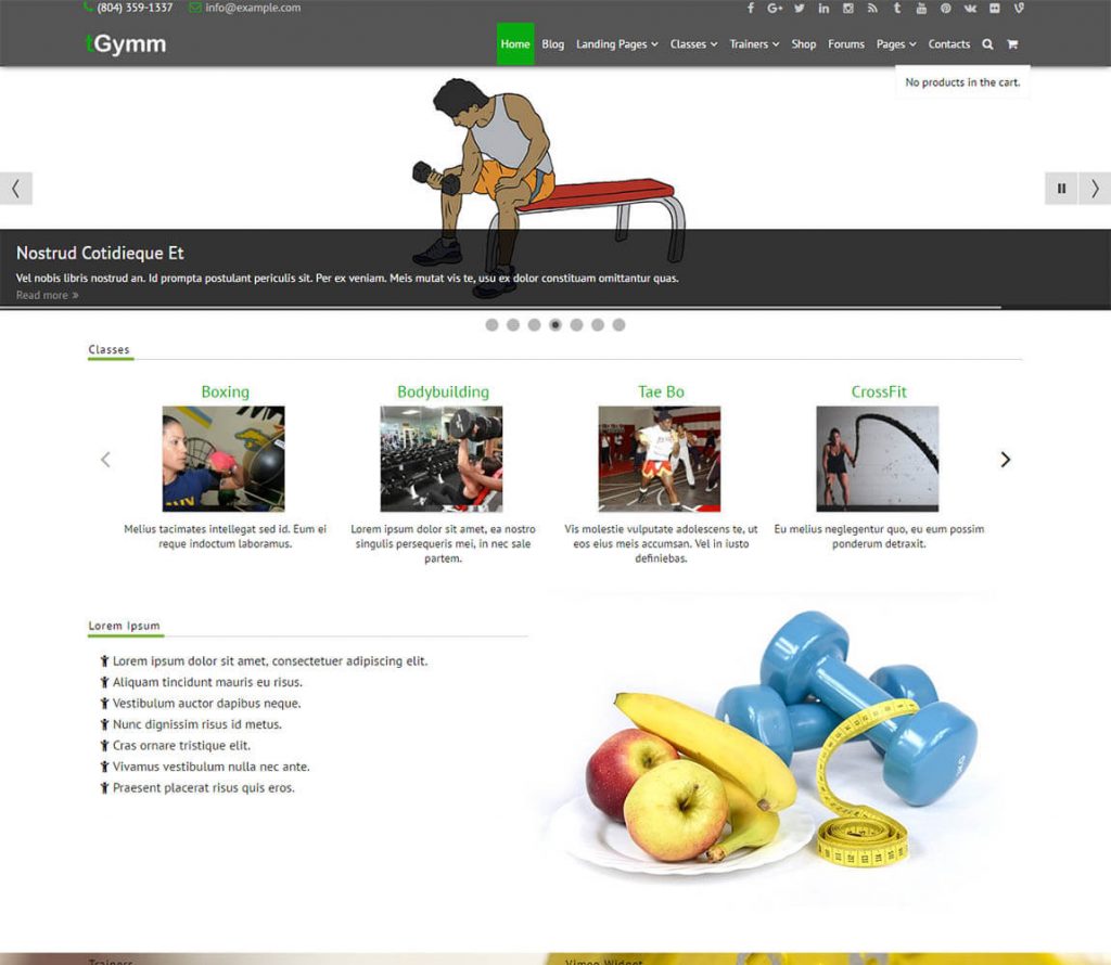 tGymm Tema ücretsiz wordpress spor salonu ve fitness teması