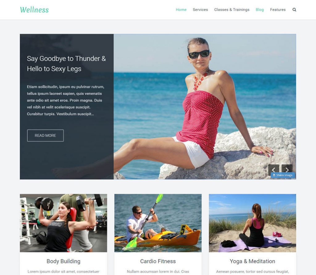 Fitness siteleri için Wellness Theme -ücretsiz wordpress teması