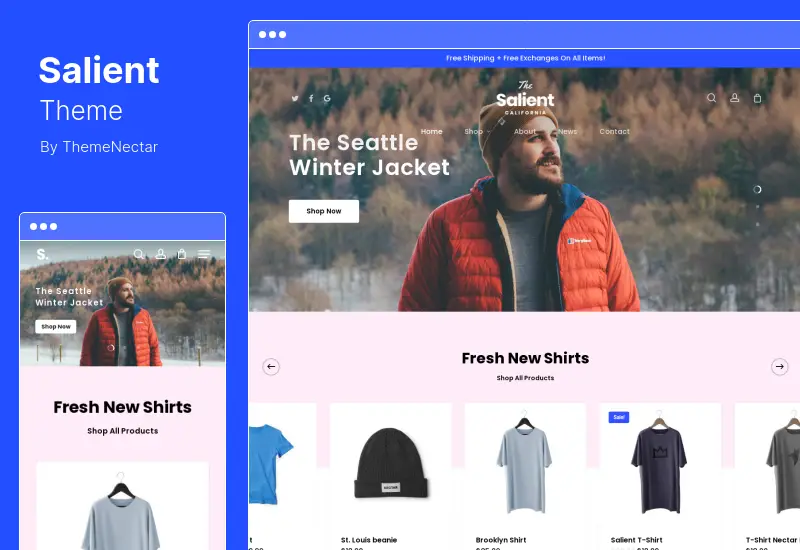 Salient Theme - Tema Kreatif Serbaguna & WooCommerce