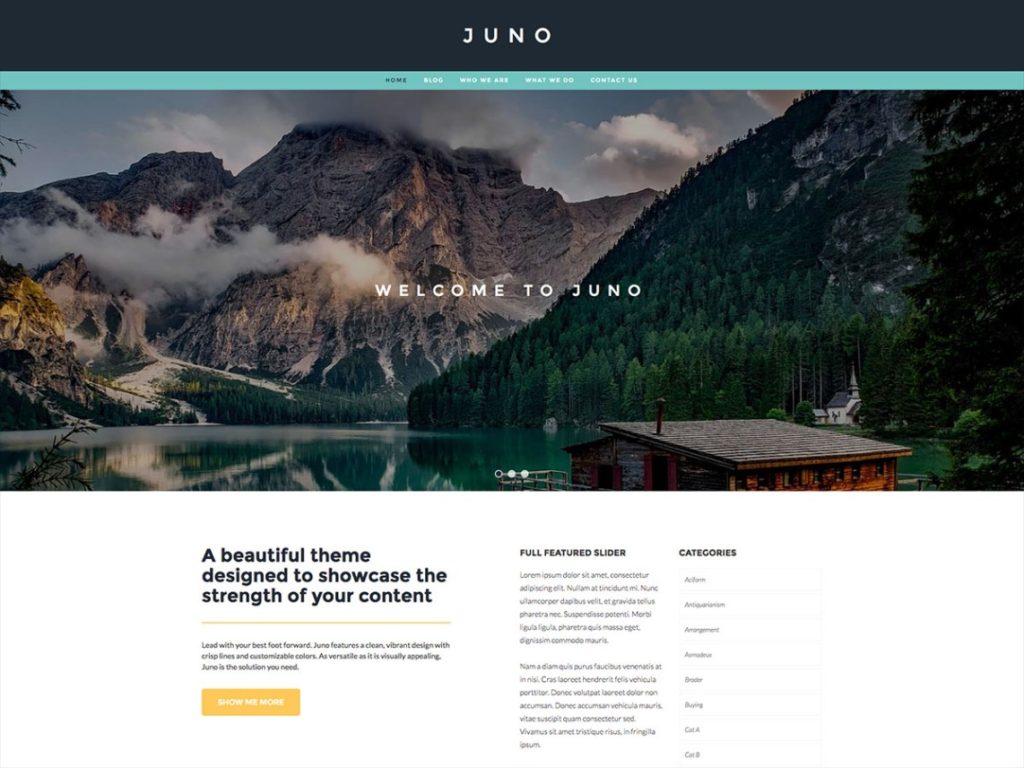 2023 年ブログ向けベスト WordPress テーマ 4 WordPress theme for blog