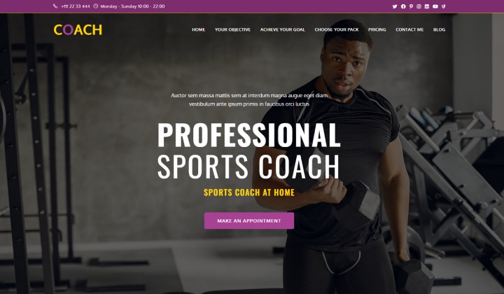 13 migliori temi WordPress per siti web di life coach e mentori 2023 6 Ocean Coach