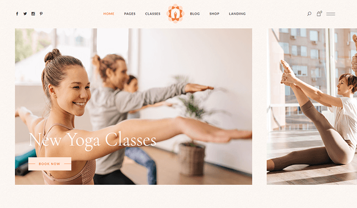 17 migliori temi WordPress per istruttori di yoga 2023 12 hath 501