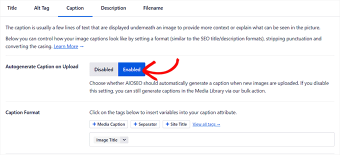 Activați comutarea Subtitrări și configurați etichetele inteligente ale acesteia Enable Captions toggle and configure its smart tags