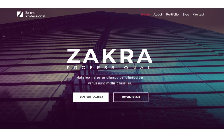 ダンスアカデミーとスタジオに最適なWordPressテーマ16選 13 Zakra Professional