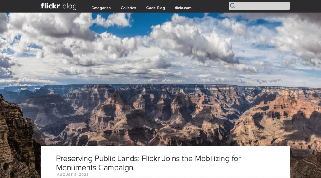 Flickr Blog_aziende che utilizzano wordpress