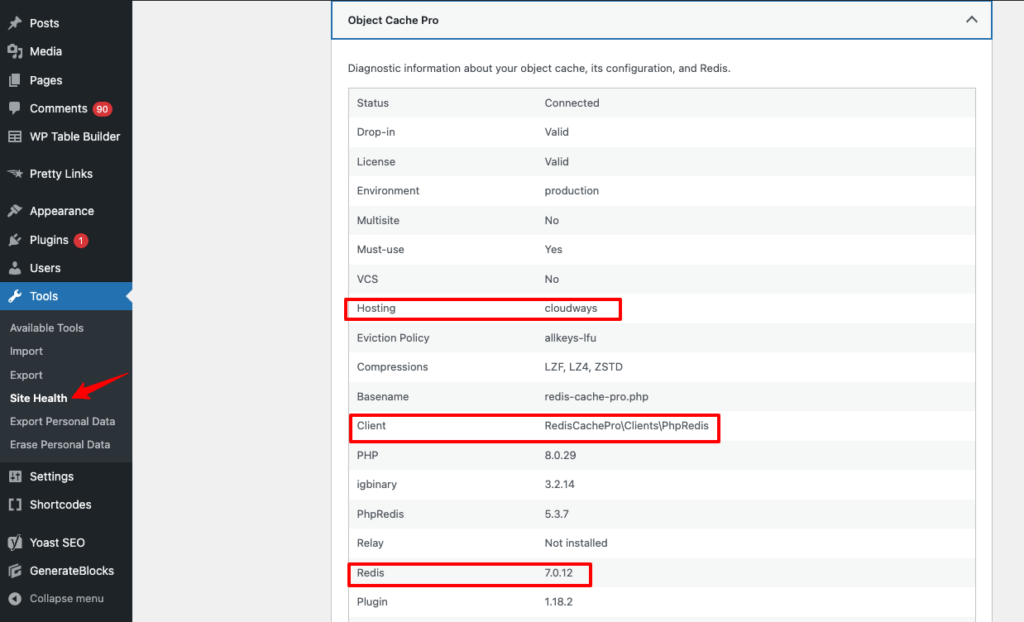 wordpress-site-sağlık-ayarları