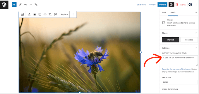 Hinzufügen von Alternativtext zu einem WordPress-Bild Adding alt text to a WordPress image