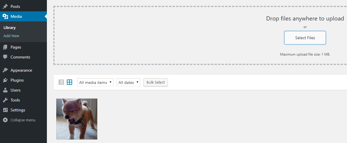 將圖片添加到您的中央媒體庫。