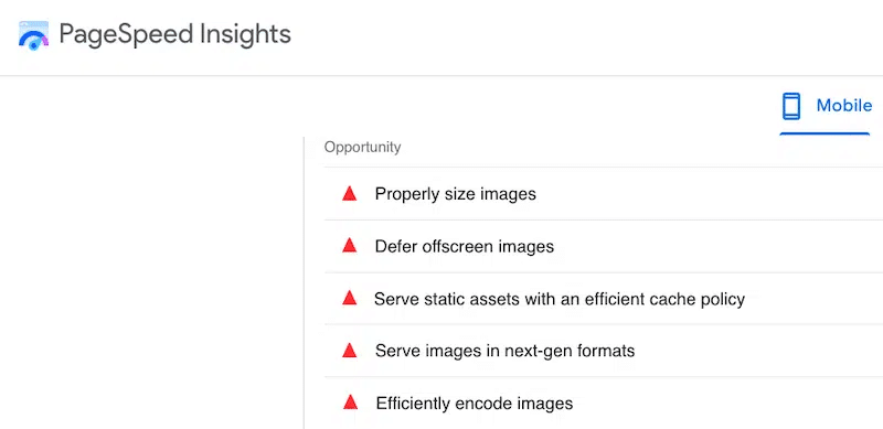 Problèmes liés aux images signalés par le rapport Lighthouse - Source : PageSpeed ​​Insights