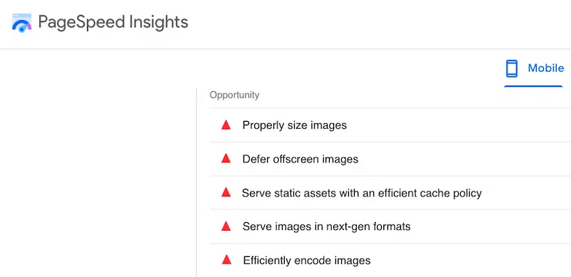 Lighthouse 보고서에서 신고한 이미지 관련 문제 - 출처: PageSpeed ​​Insights