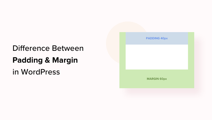 WordPress 中內邊距和邊距的區別 Difference between padding and margin in WordPress