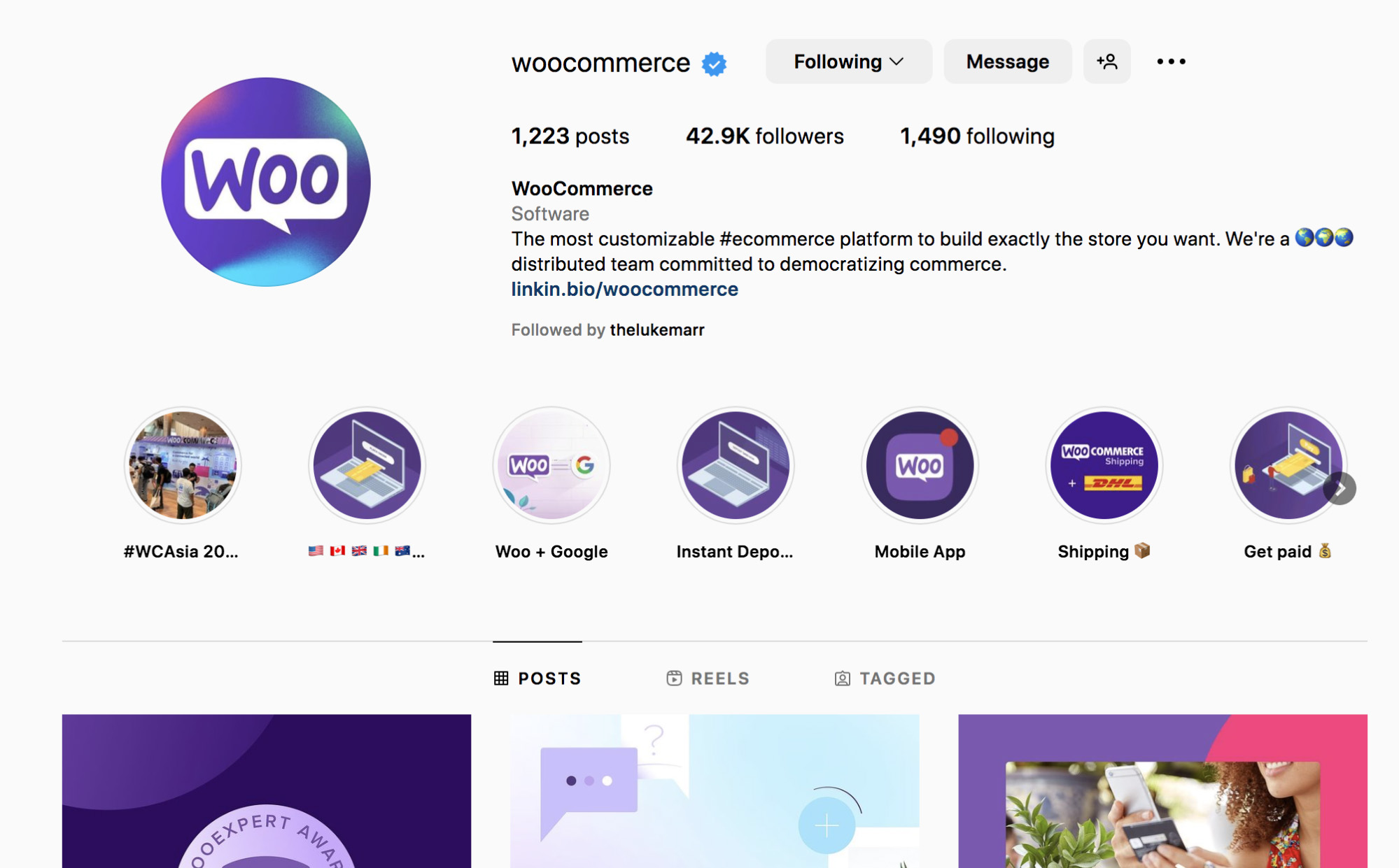 WooCommerce Instagram — popularny wybór dla rozwoju biznesu