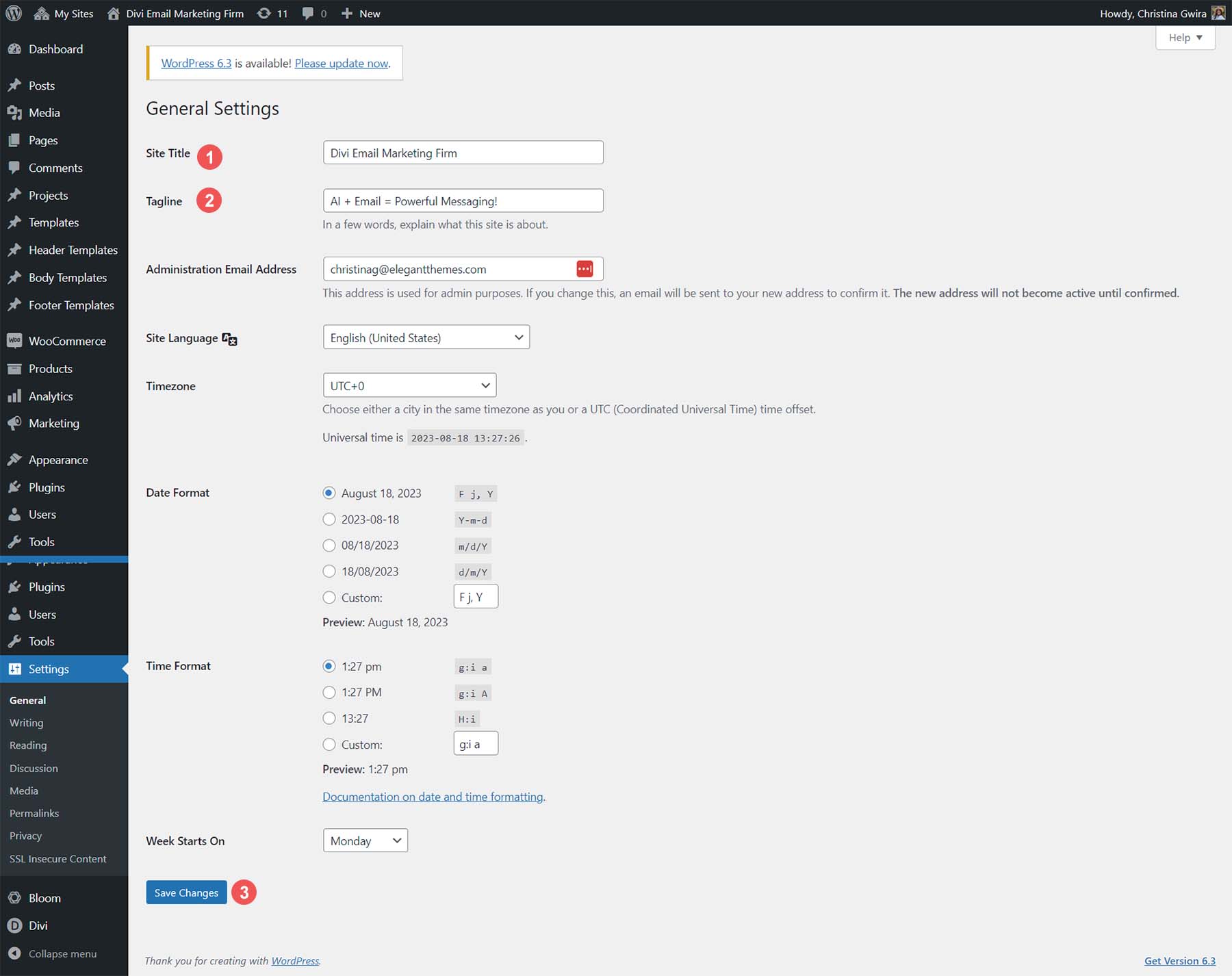 為您的新 WordPress 網站創建網站標題和標語