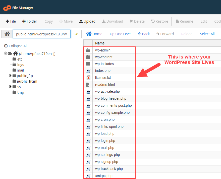 como instalar wordpress
