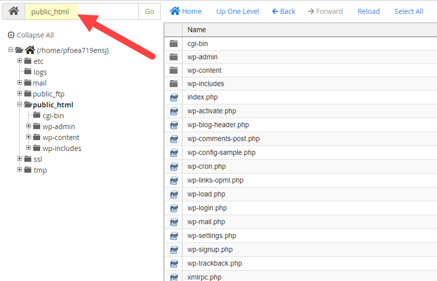 como instalar wordpress