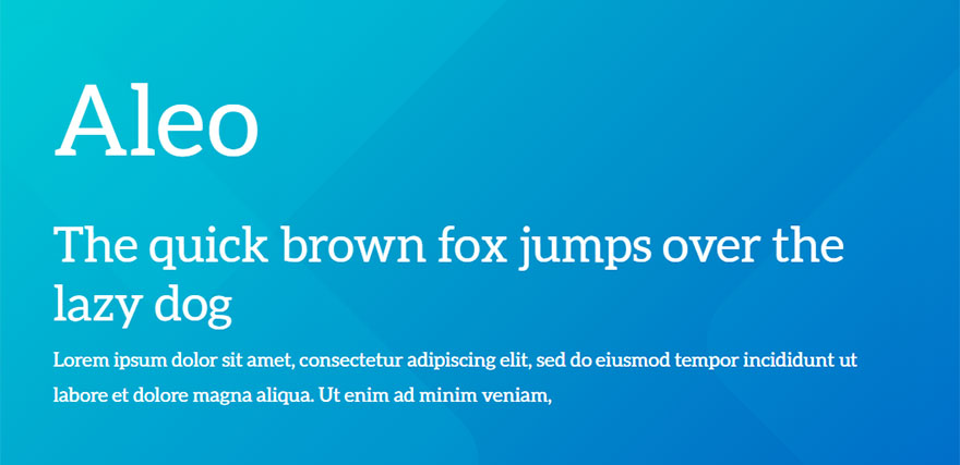 أفضل خطوط الويب 31