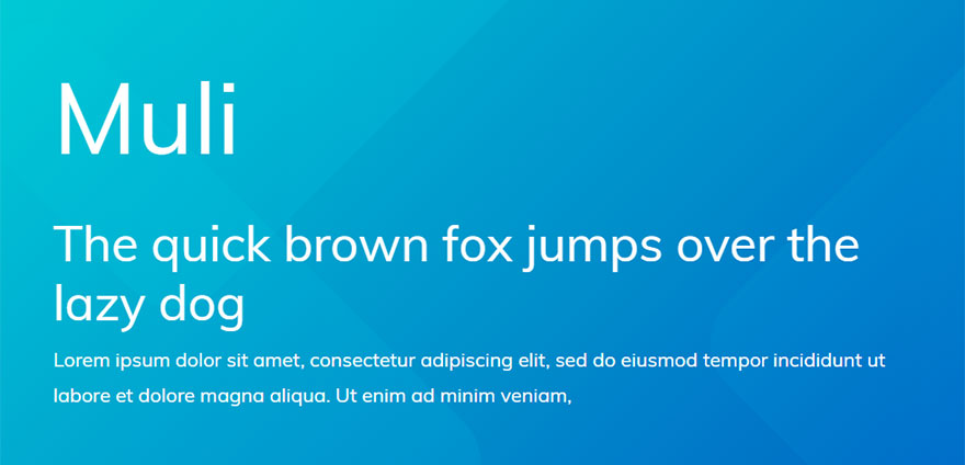 أفضل خطوط الويب 20