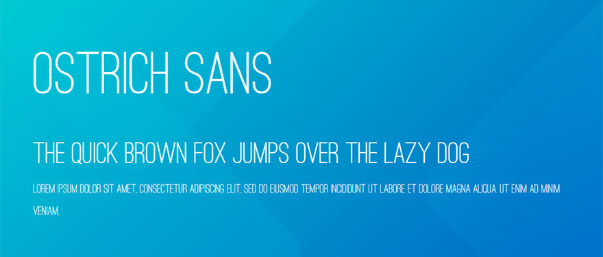 أفضل خطوط الويب 34