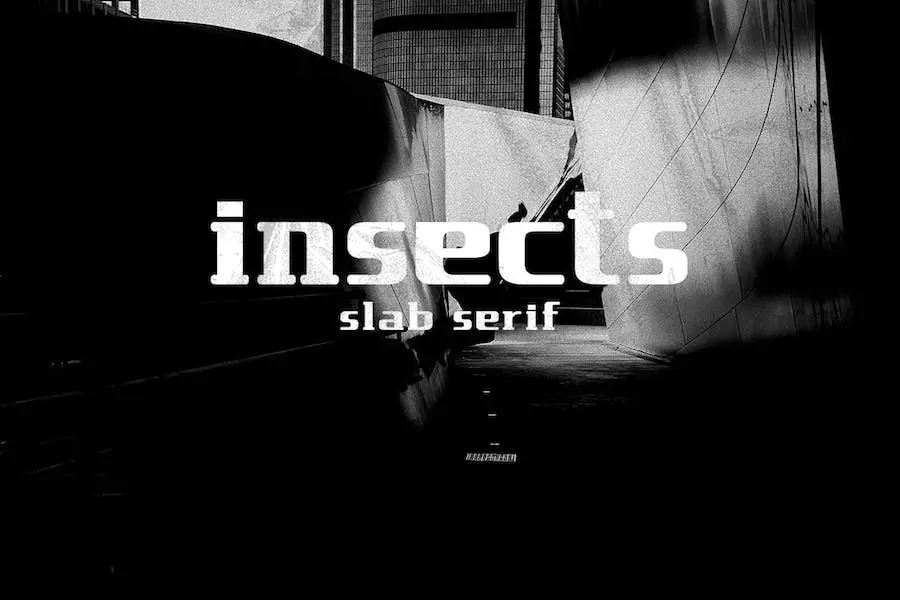 insetto -