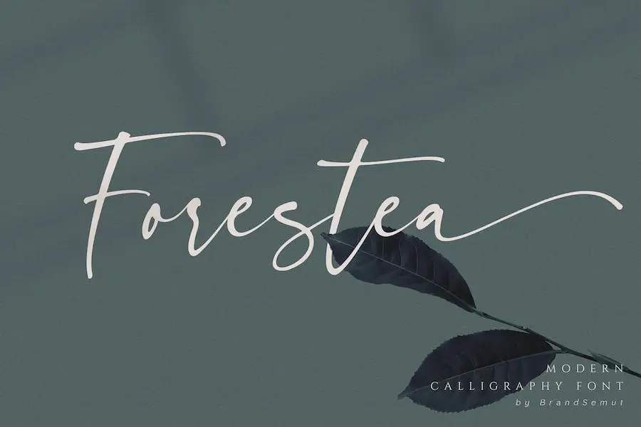 bosque -