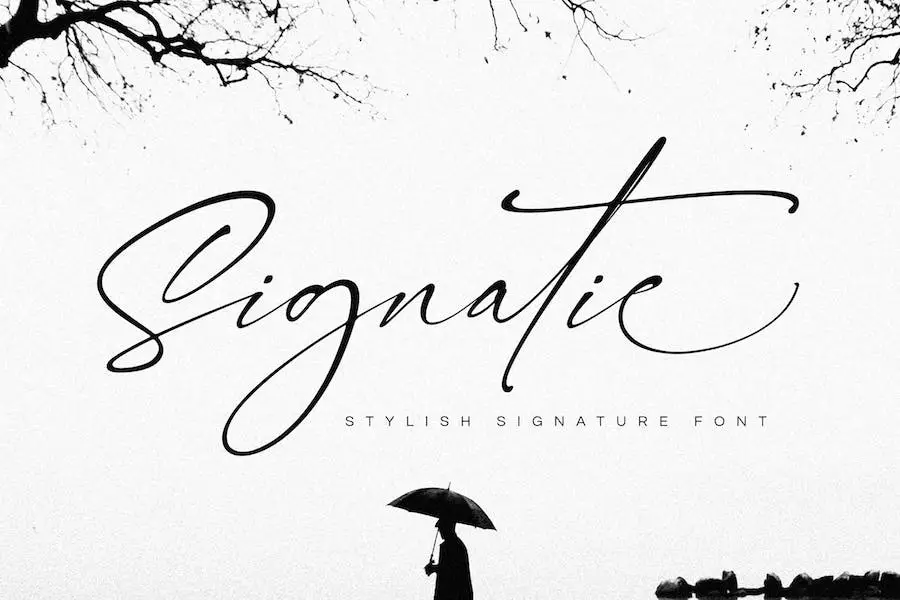 Firma -