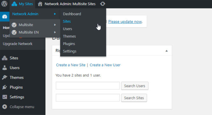 多站点网络设置 Multisite network settings