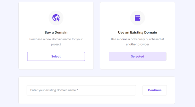 输入域名 Enter a domain name