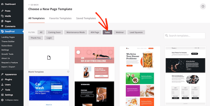 Die professionell gestalteten Vorlagen von SeedProd SeedProd's professionally-designed templates