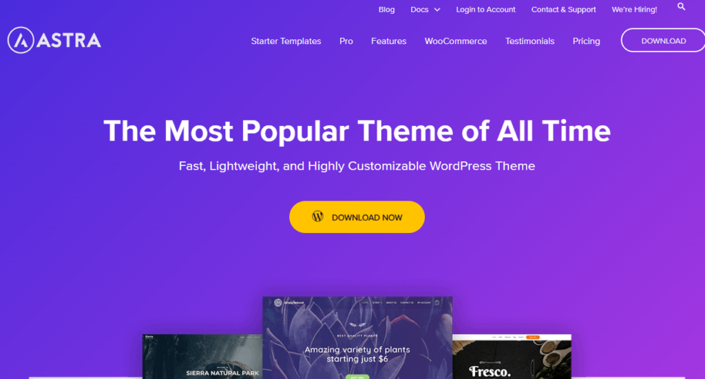 tema astra - alternatif BeTheme